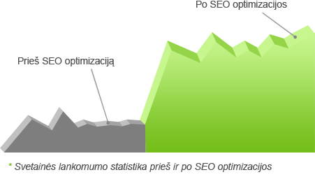 seo paslaugos